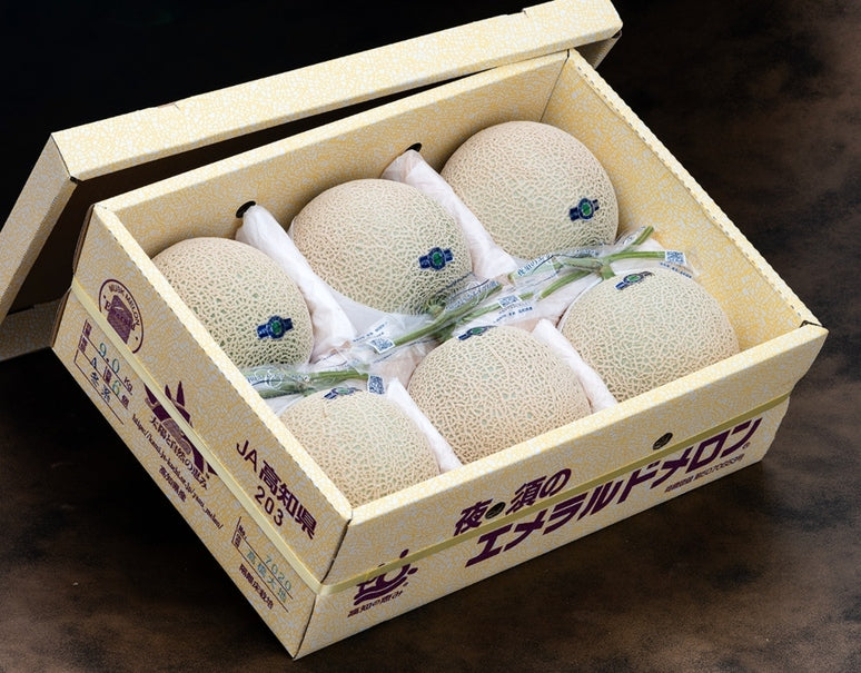 JA夜須『エメラルドメロン（マスクメロン）』高知県 6玉 計約8〜9kg 産地箱 風袋込 ※常温