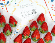 『紅い雫（あかいしずく）』愛媛県産 いちご 約500g（250g：9〜11粒×2パック）化粧箱入り 酒井農園 ※冷蔵【愛媛フェア】