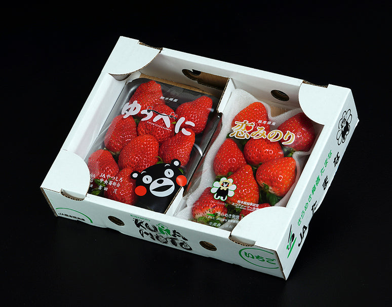 熊本いちご食べ比べ 『恋みのり＆ゆうべに』 約250g×2Ｐ ※冷蔵