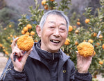ギャラリーに画像を読み込む、【訳あり品】柑橘「農6（縄文柑）」 香川県産　約5kg サイズ混合　※常温
