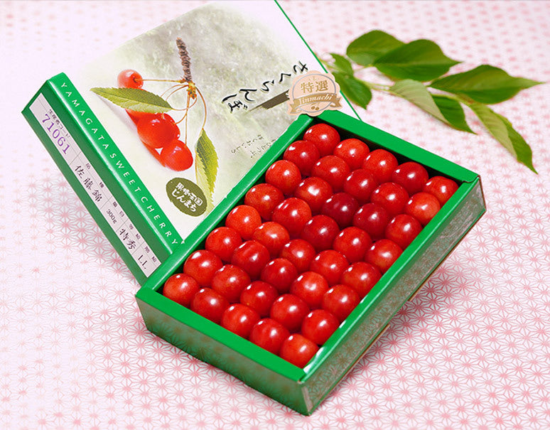 『佐藤錦』山形県産温室さくらんぼ 大粒2L 特秀品 約300g 化粧箱 ※常温【産地直送・4/7〜5/4まで出荷日指定可能】