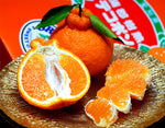 ギャラリーに画像を読み込む、JA蒲郡市『葉付き 樹熟デコポン』 愛知県産 秀 2〜5L 約3kg （7〜12玉） 化粧箱 風袋込 ※常温
