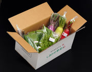 「於愛の方」ふるさと『オーガニック野菜セット（Mサイズ）』静岡県掛川市産 旬の有機野菜8〜10袋 ※冷蔵