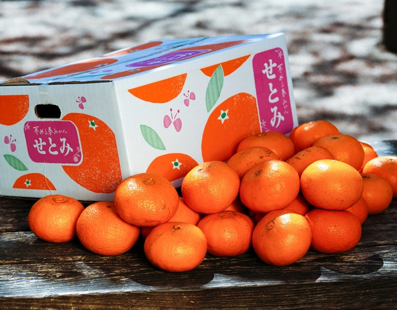 『せとみ』山口県産 柑橘 秀 S〜3L 約5kg 産地箱 風袋込 ※常温