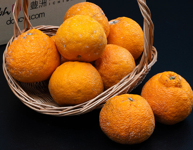 糖度15度以上『池元農園の訳ありしらぬひ』 鹿児島県獅子島産 約2.5kg×2箱 風袋込 簡易包装 ※常温