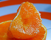 『にじゅうまる』佐賀県産 柑橘 秀 約3kg（7〜15玉）化粧箱 風袋込 ※常温