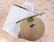 中條文義、友貴親子の『クラウンメロン』 生産者番号：436 白等級以上 白化粧箱入 1玉（約1.3kg） ※常温