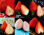 『いちご6品種セット』 計約1.8kg (さぬきひめ＋アイベリー＋さくらももいちご＋ロイヤルクイーン＋おおきみ＋パールホワイト） 風袋込み ※冷蔵