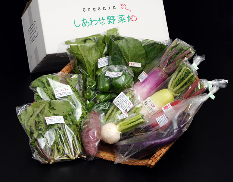「於愛の方」ふるさと『オーガニック野菜セット（Mサイズ）』静岡県掛川市産 旬の有機野菜8〜10袋 ※冷蔵