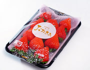 『おおきみ』高知県産いちご 2P 計約500g (1パック8〜15粒)※冷蔵