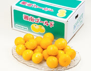 『湘南ゴールド』神奈川県産 柑橘 優〜秀 S〜4L 約2.4kg 簡易箱 ※常温