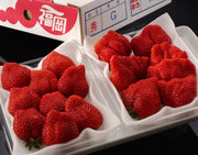 『博多あまおう』福岡・八女産いちご グランデ 約270g×4パック ※冷蔵