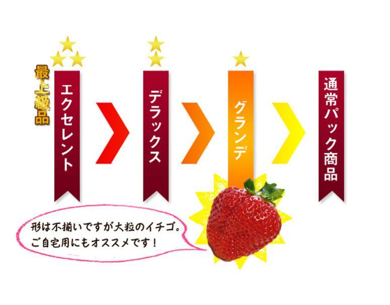 『博多あまおう』福岡・八女産いちご グランデ 約270g×2パック ※冷蔵