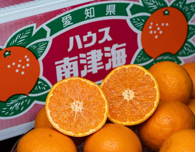 JA蒲郡市 『なつみ（南津海）』愛知県産 柑橘 優〜秀 S〜L 約5kg 産地箱 風袋込 ※常温