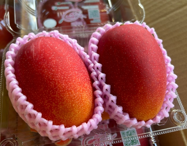 小玉『みやざき完熟マンゴー』M〜Lサイズ 2玉（1玉 240〜349g）簡易箱 ※常温