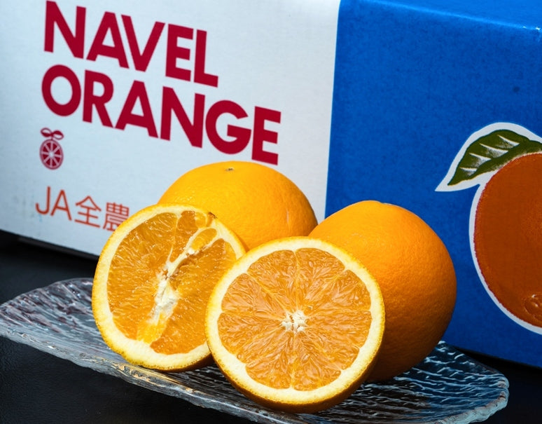 『イエローデリッシュネーブル』愛媛県産 柑橘 秀 2〜3L 約2.5kg（8〜10玉）簡易箱 ※常温