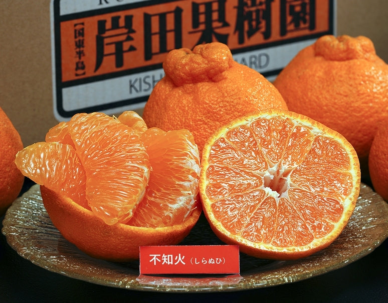 【正規品】 岸田果樹園 樹上熟成「しらぬひ」 大分県産 大玉4〜5L 約2.7kg (6〜8玉)　※冷蔵