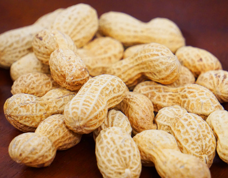 新品種『やちまた産 Qなっつ（キューナッツ）』 千葉県八街産 落花生 焙煎 100g×10袋 ※常温