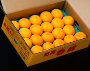 『木熟 春峰（しゅんぽう）』和歌山県産 秀 約5kg(15〜20玉) 産地箱 風袋込 ※常温