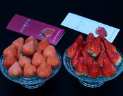 『桃薫（とうくん）・きらぴ香』 いちご2品種セット 静岡県産 各約420ｇ(9〜15粒) ※冷蔵