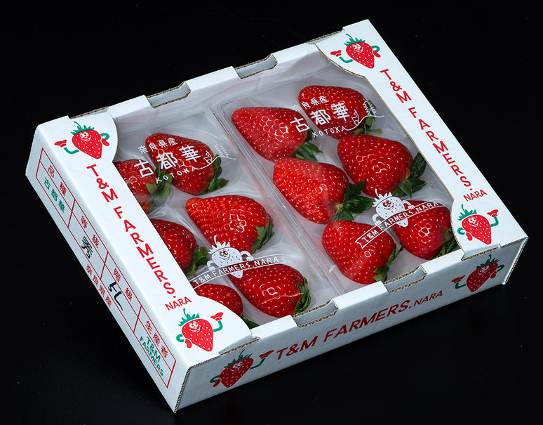 超大粒『古都華』奈良県産 いちご 秀 4〜5L 2パック（1パック 約250g 6〜8粒）産地箱 風袋込 ※冷蔵