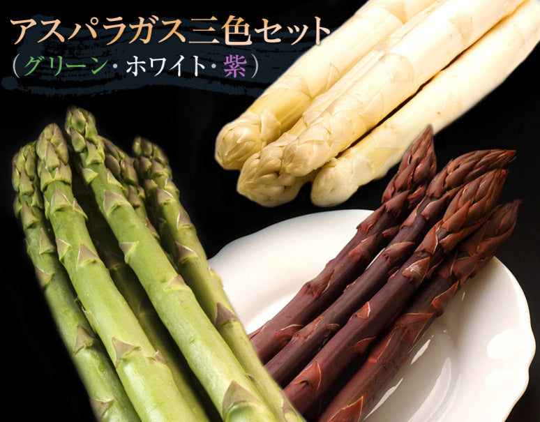 【有機JAS認証】『アスパラガスセット』北海道産 合計1kg（グリーンL/M 300g・ホワイト2L 400g・紫2L/L 300g）※冷蔵