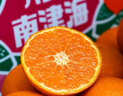 JA蒲郡市 『なつみ（南津海）』愛知県産 柑橘 優〜秀 S〜L 約5kg 産地箱 風袋込 ※常温