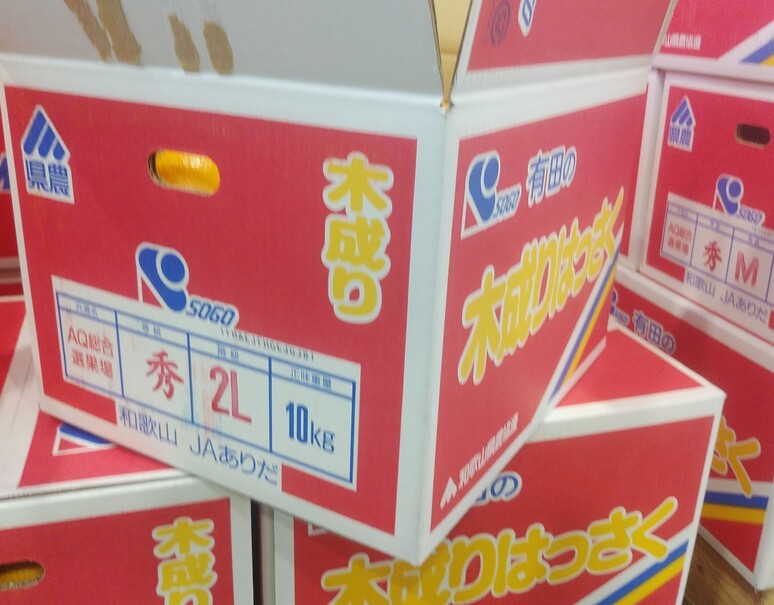 『有田の木成り八朔』和歌山県産 柑橘 秀品 L〜3L 約4.5kg 簡易箱 ※常温