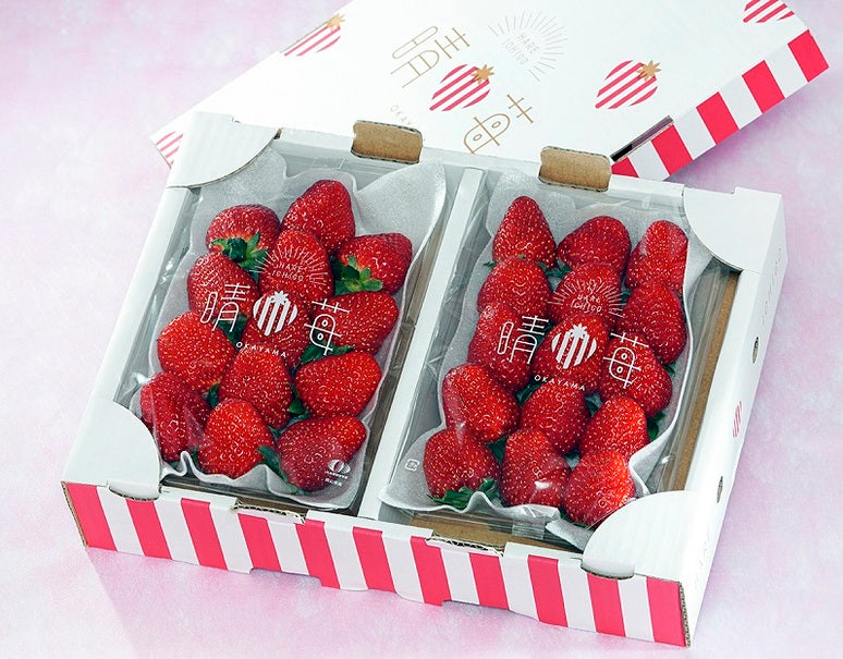 『晴苺』 岡山県産 いちご 約1kg （約250g×4P） ※冷蔵