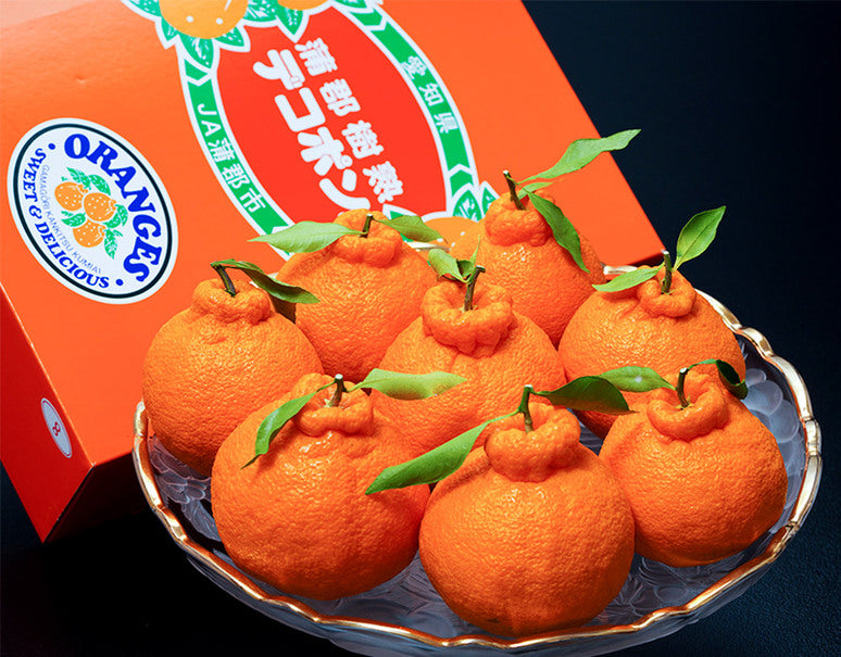 JA蒲郡市『葉付き 樹熟デコポン』 愛知県産 秀 2〜5L 約3kg （7〜12玉） 化粧箱 風袋込 ※常温