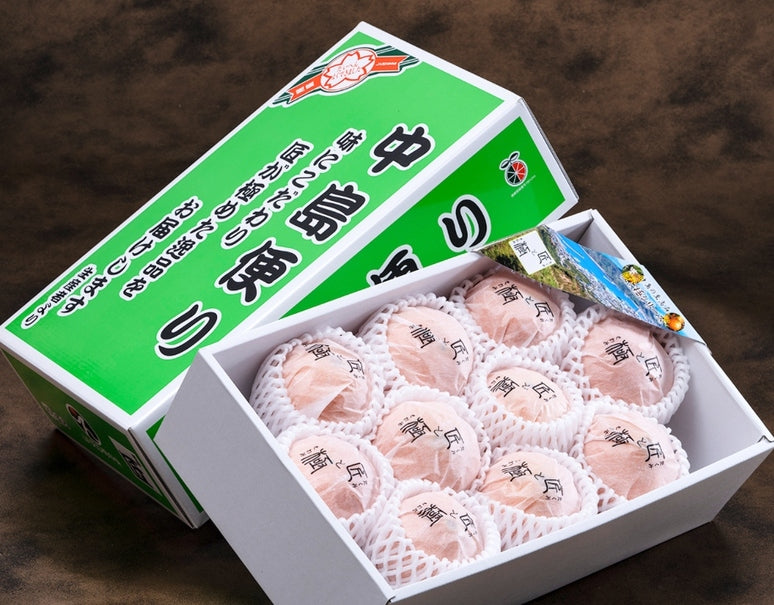 中島便り『匠のデリッシュネーブル』愛媛県産 柑橘 2〜3L 約2.5kg（8〜10玉）化粧箱 風袋込 ※常温
