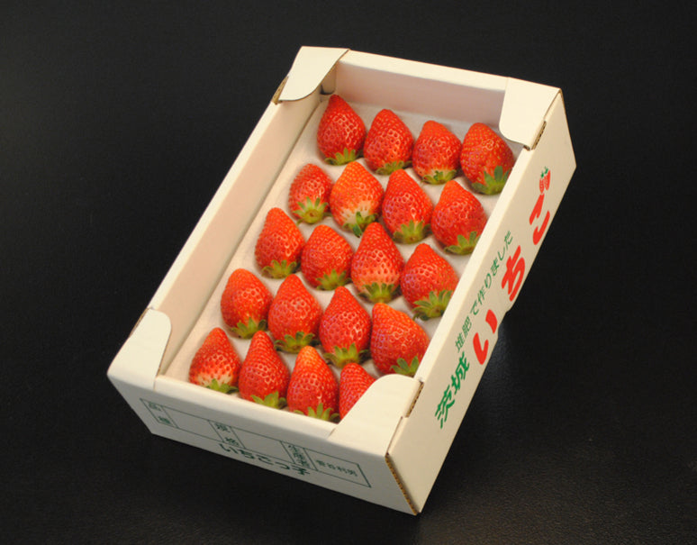 『菅谷さんのいちご』 茨城県産 1箱18粒（約420g） 化粧箱入 ※冷蔵