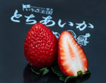 ギャラリーに画像を読み込む、『とちあいか』栃木県産いちご JAかみつが　計約500g（250g×2P） ※冷蔵
