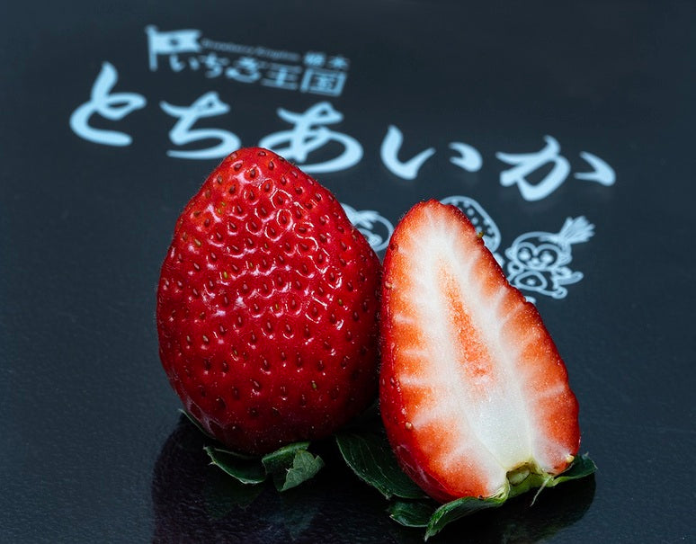 『とちあいか』栃木県産いちご JAかみつが　計約500g（250g×2P） ※冷蔵