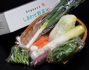 「於愛の方」ふるさと『オーガニック野菜セット（Sサイズ）』静岡県掛川市産 旬の有機野菜6〜8袋 ※冷蔵