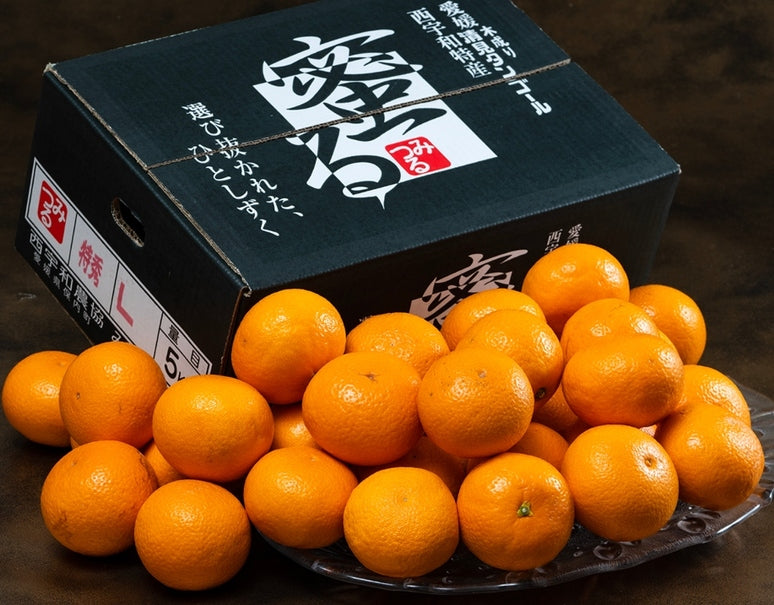 糖度12度以上 蜜る共選『清見』愛媛県産 特秀 L〜3L 約5kg 産地箱 風袋込 ※常温