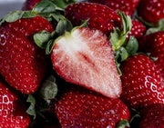 千葉県産 黒いちご 真紅の美鈴 約350g 15粒または18粒 ※冷蔵