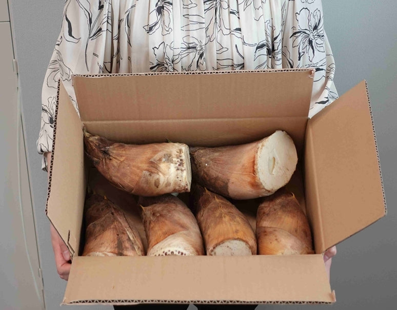 『たけのこ』 大〜中サイズ 約4kg (目安：4〜8本)　九州産（鹿児島・熊本・福岡ほか） 糠付き　※冷蔵