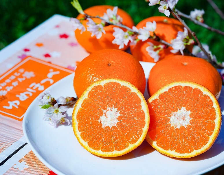 糖度13.5度以上『ゆめほっぺ（品種：せとみ）』山口県産 柑橘 秀 S〜3L 約2.4kg 簡易箱 ※常温