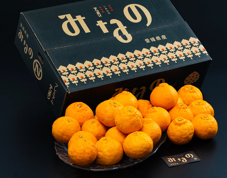 糖度15度選果『プレミアム デコポン』愛媛県産 柑橘 L〜3L 約5kg（18〜24玉）産地箱 風袋込 ※常温 みなの共選【愛媛フェア】