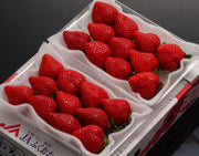 『博多あまおう』福岡・八女産いちご デラックス 約270g×2パック ※冷蔵