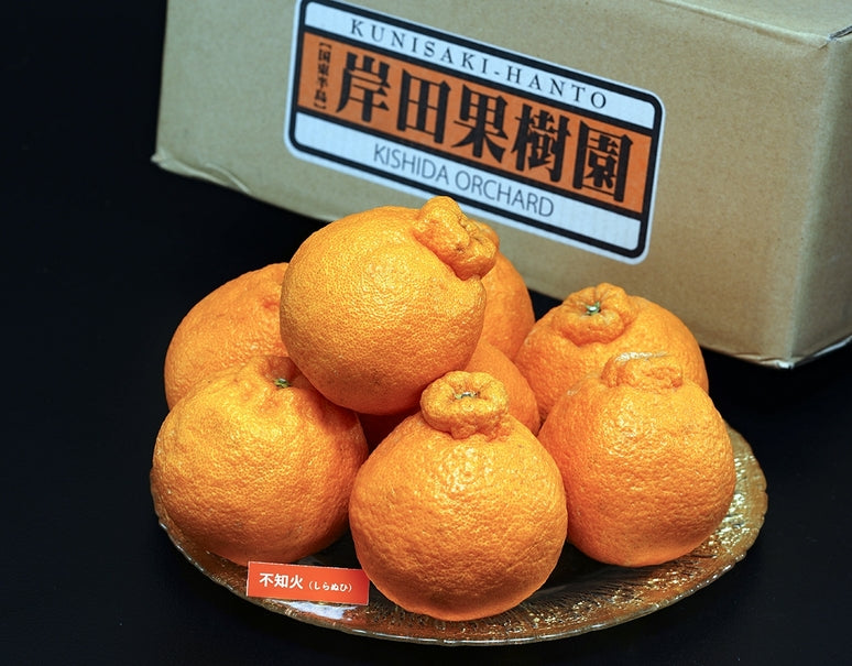 【正規品】 岸田果樹園 樹上熟成「しらぬひ」 大分県産 大玉4〜5L 約2.7kg (6〜8玉)　※冷蔵