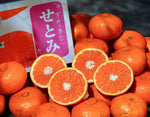 ギャラリーに画像を読み込む、『せとみ』山口県産 柑橘 秀 S〜3L 約2.4kg 簡易箱 ※常温
