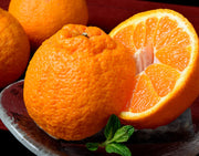 糖度15度以上『池元農園の完熟しらぬひ』鹿児島県獅子島産 約2.2kg（8玉） 化粧箱 ※常温