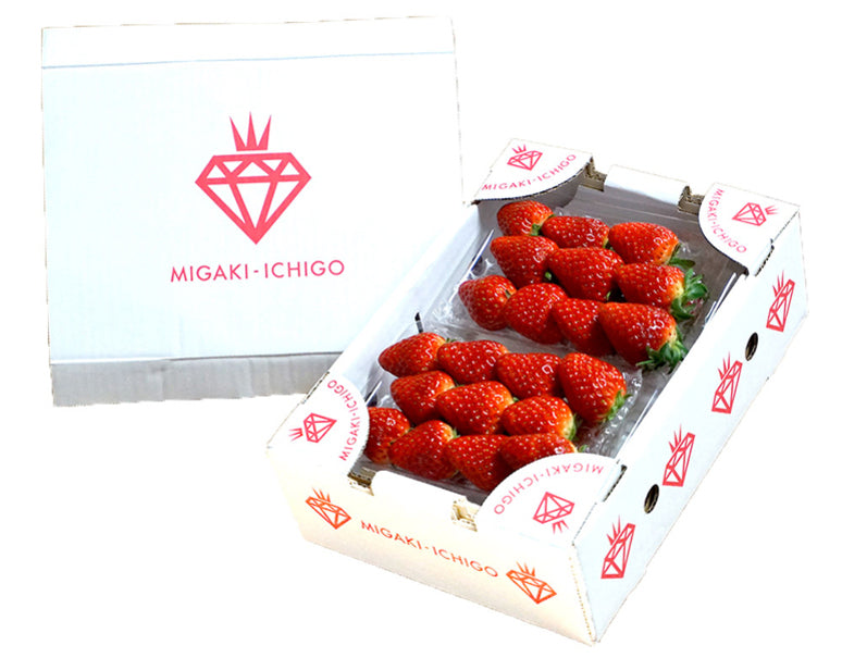 『ミガキイチゴ（レギュラー）』 宮城県産イチゴ 1箱 約520g（260g×2パック） ※冷蔵