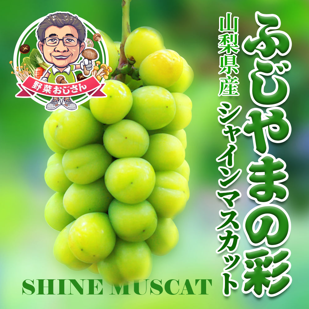 【成田市場直送】山梨県産 シャインマスカット 敬老の日 ぶどう約1kg 2〜3房 贈答用 ぶどう 糖度約20度