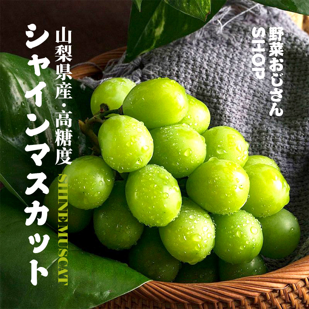 成田市場直送】山梨県産 シャインマスカット 敬老の日 ぶどう約1kg 2〜3房 贈答用 ぶどう 糖度約20度 – 野菜おじさん