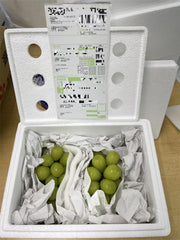 【成田市場直送】山梨県産 シャインマスカット 敬老の日 ぶどう約1kg 2〜3房 贈答用 ぶどう 糖度約20度