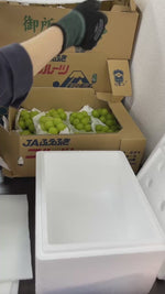 ギャラリーでビデオを読み込み、再生する、【成田市場直送】山梨県産 シャインマスカット 敬老の日 ぶどう約1kg 2〜3房 贈答用 ぶどう 糖度約20度
